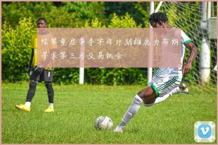 绿军重启争夺字母计划雄鹿为布朗寻求第三方交易机会